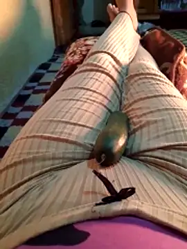 Tota sexi online show from November 2025 12:06:01 PM