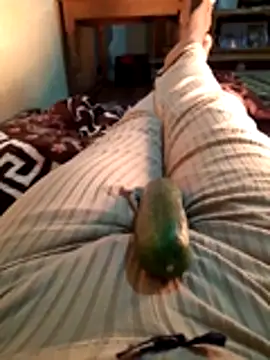 Tota sexi online show from November 2025 10:48:01 AM