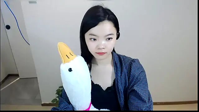 Shaurk online show from February 2026 02:31:02 AM