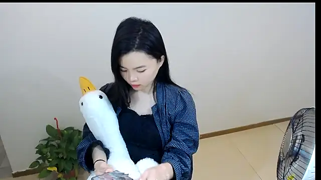 Shaurk online show from February 2026 02:57:01 AM