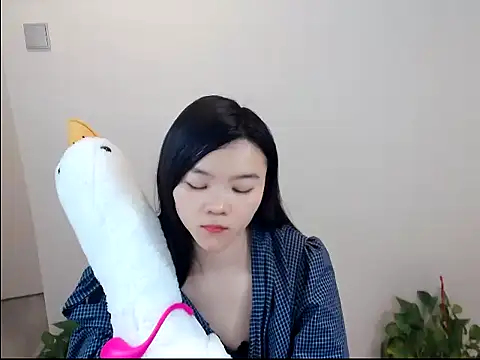 Shaurk online show from January 2026 02:51:02 AM