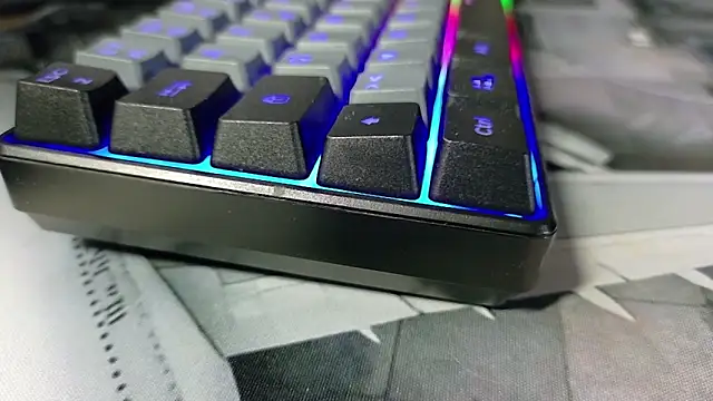 Chrisatmiami online show from March 2026 03:38:02 PM