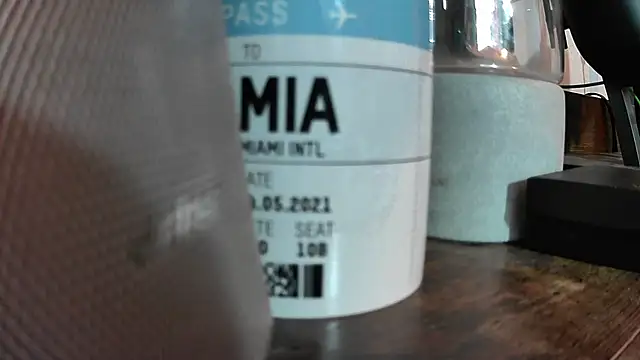 Chrisatmiami online show from November 2025 04:33:02 PM