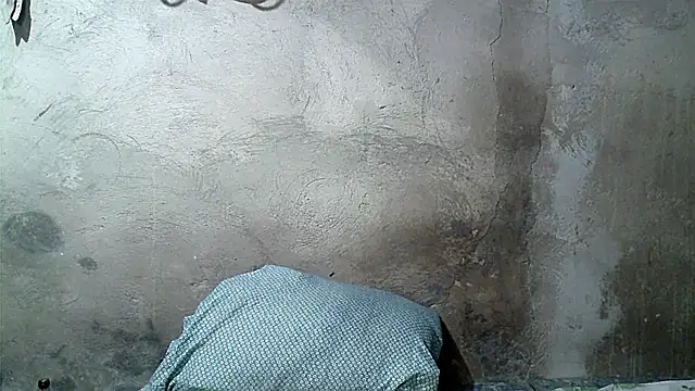 xwindyxxx online show from March 2026 09:27:01 AM