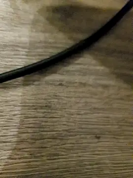 MaikBuoy online show from February 2026 12:11:02 AM