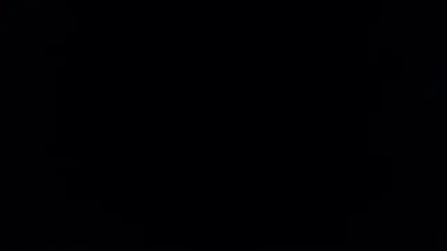 Brandy collinss online show from February 2026 11:41:01 AM