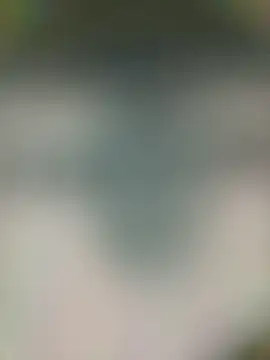 piggylatino online show from April 2026 05:48:02 PM