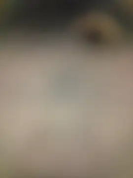 piggylatino online show from February 2026 06:01:02 AM