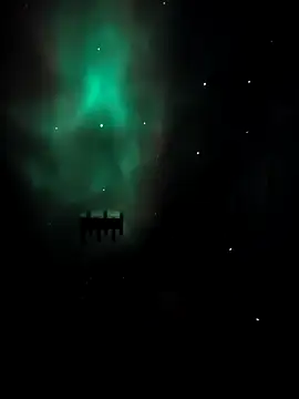 Snapshot of arcacsel chatting on November 2025 10:54:01 PM arcacsel online show from November 2025 10:54:01 PM