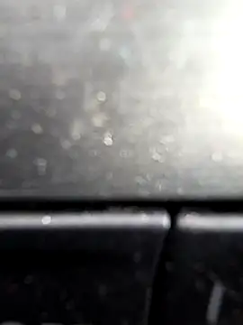 arcacsel online show from December 2025 12:04:01 PM