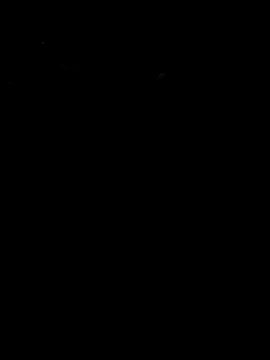 arcacsel online show from March 2026 10:36:01 PM