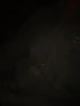 Snapshot of Dihotbi chatting on November 2025 12:55:01 AM Dihotbi online show from November 2025 12:55:01 AM