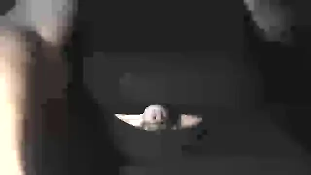 Snapshot of bigcumfrench chatting on July 2026 02:33:02 AM bigcumfrench online show from July 2026 02:33:02 AM
