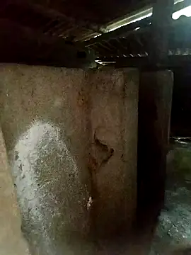 gugu0022 online show from January 2026 10:21:01 AM