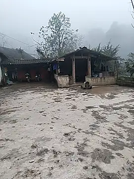 gugu0022 online show from January 2026 03:54:01 AM