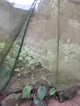 gugu0022 online show from February 2026 11:26:01 PM