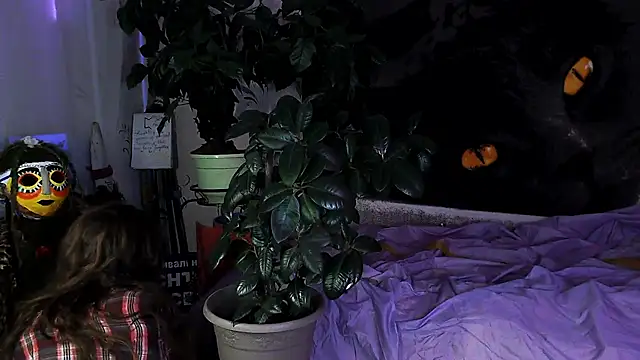 Personal Bulldozer online show from December 2025 01:34:02 PM