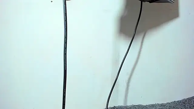 ZeusBrant online show from April 2026 07:58:02 PM