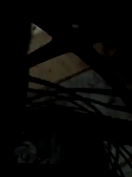 Heterobusca online show from April 2026 06:50:02 AM