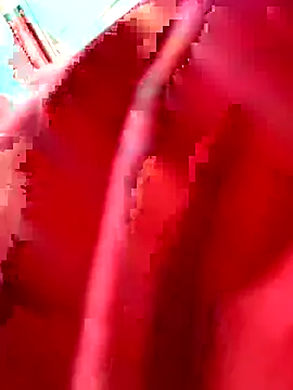 julianlondo111 online show from February 2026 06:53:01 PM