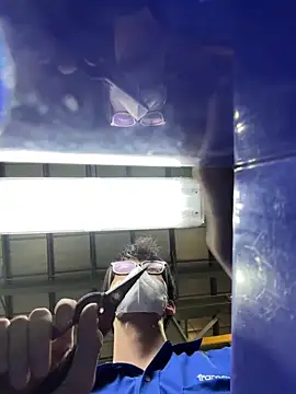 MEFUN- online show from November 2025 02:54:02 PM