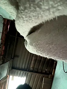 MEFUN- online show from January 2026 09:27:02 AM