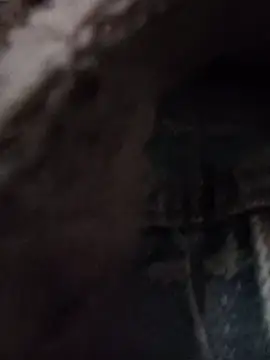 Lynk2x online show from November 2025 04:56:02 AM