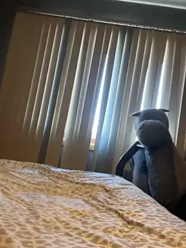 mouse- online show from February 2026 09:26:01 PM