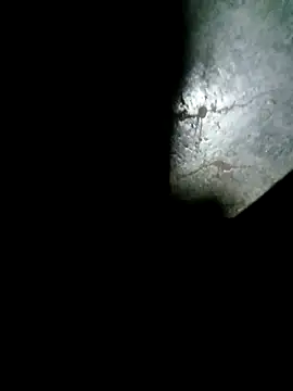 raju423204 online show from February 2026 01:06:02 AM