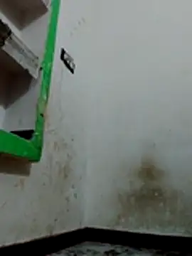 Bigg bhabi online show from January 2026 11:31:02 PM