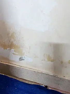 Asha devi90 online show from April 2026 03:59:01 PM