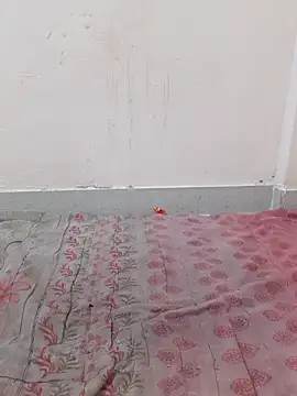 Asha devi90 online show from January 2026 02:21:02 PM