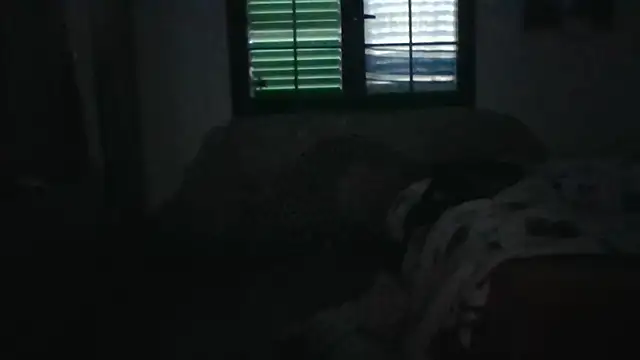 sweetblacky87 online show from March 2026 09:34:02 AM