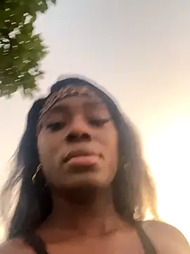 zyrastorm online show from November 2025 11:05:02 PM