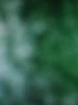 Rouse hot  online show from December 2025 03:20:02 AM