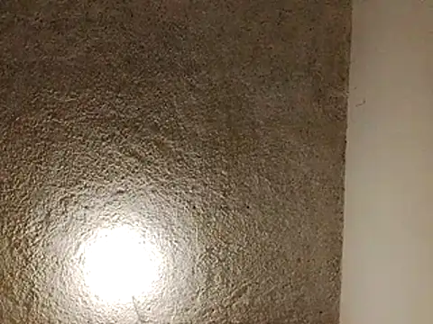 LogaBlade online show from April 2026 05:13:01 AM