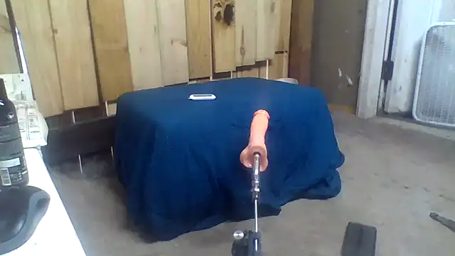 dickencidr online show from July 2026 11:38:02 PM