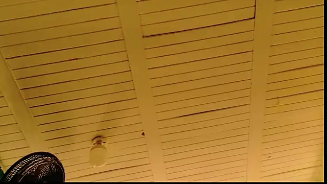 lunabustygirl online show from February 2026 04:04:02 AM