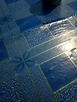 Ayetun008 online show from January 2026 05:09:02 PM