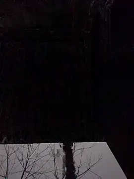 pitty mymi online show from February 2026 11:16:01 PM