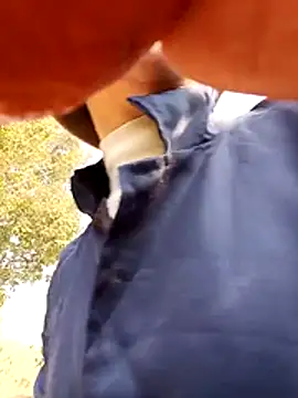 pitty mymi online show from January 2026 05:00:01 AM