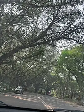 sexyayeshadesi online show from November 2025 05:30:02 AM