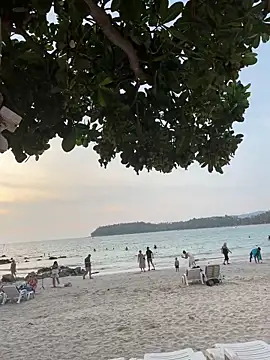 sexyayeshadesi online show from April 2026 11:26:01 AM