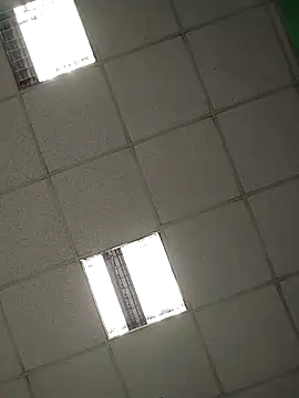 platone09 online show from April 2026 02:21:02 PM