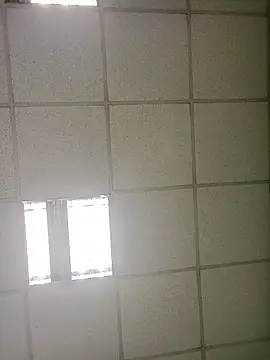 platone09 online show from January 2026 01:59:01 PM