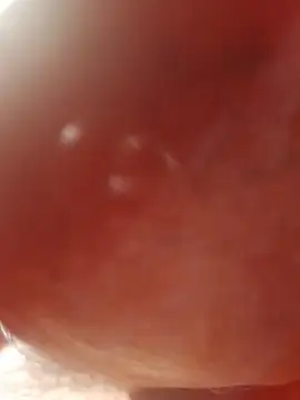 Ratacrocante online show from December 2025 08:55:02 PM