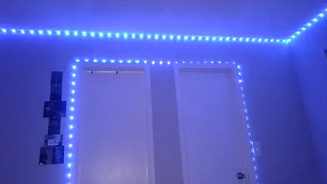 stellakobra online show from April 2026 10:11:02 AM