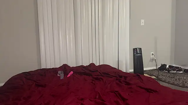 stellakobra online show from March 2026 07:52:02 AM