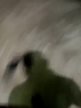 Snapshot of spermc chatting on November 2025 04:18:02 PM spermc online show from November 2025 04:18:02 PM