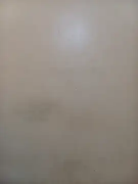 Snapshot of StormzyLeila chatting on December 2025 04:02:02 AM StormzyLeila online show from December 2025 04:02:02 AM